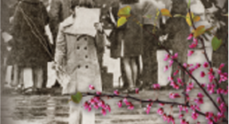 Girl standing behind redbud tree
