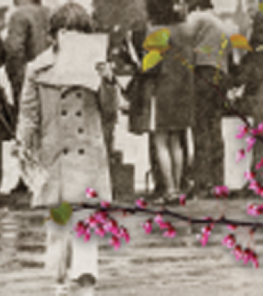 Young girl standing behind a redbud tree