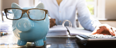 Piggy bank wearing glasses with woman budgeting in the bathroom