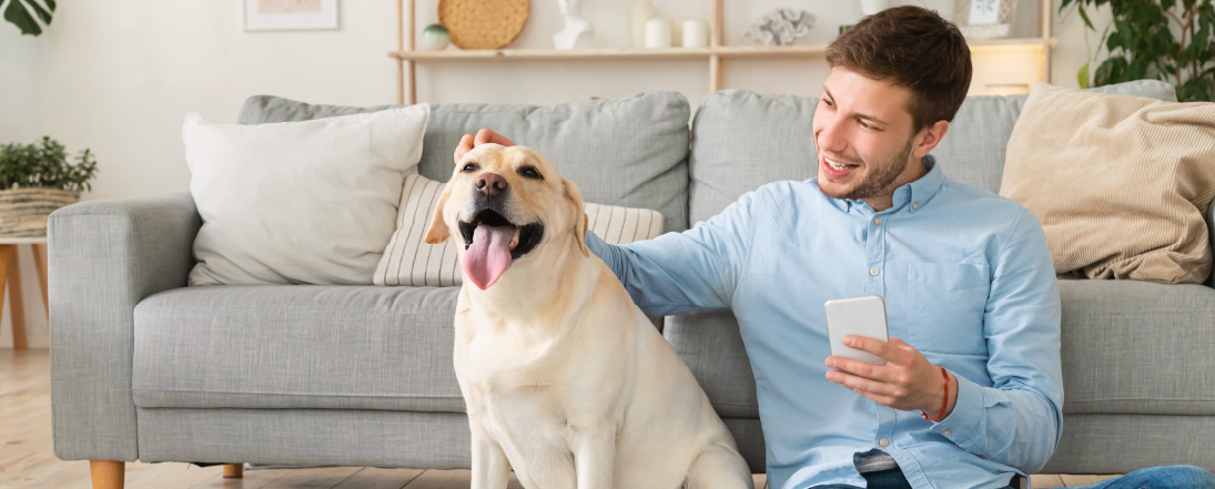 Man petting his dog and looking at his phone