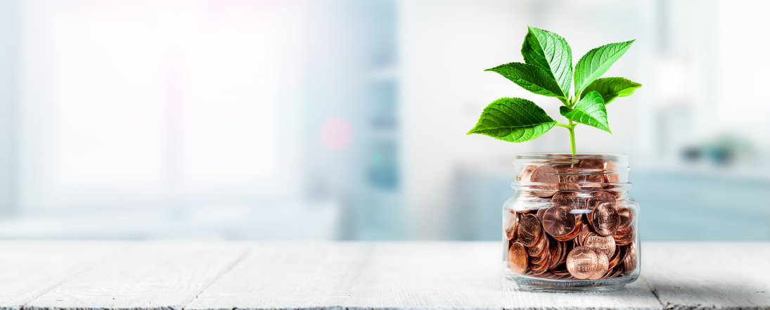 Green plant growing out of a jar of coins
