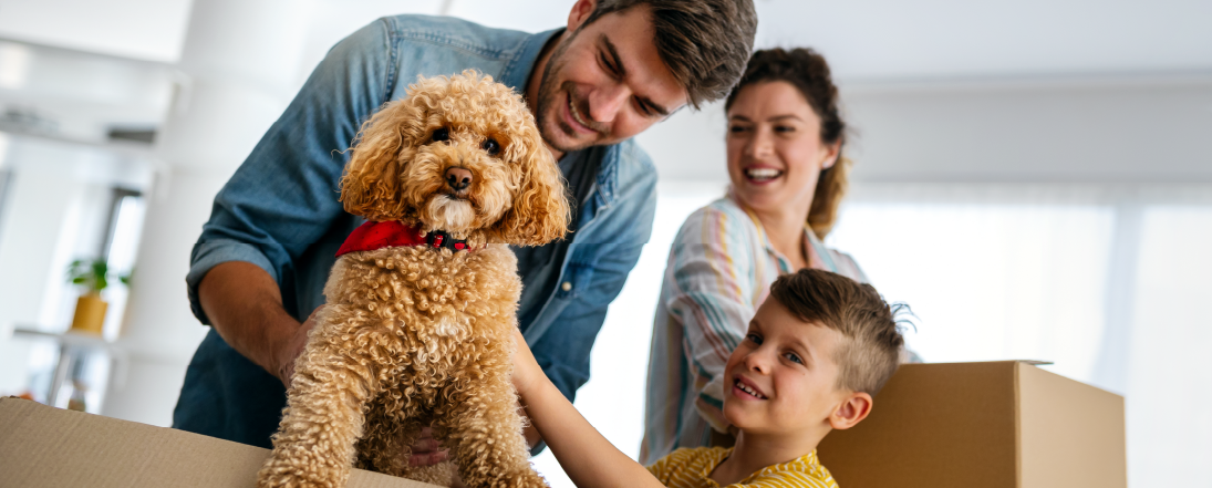 Young family moving with dog in moving boxes